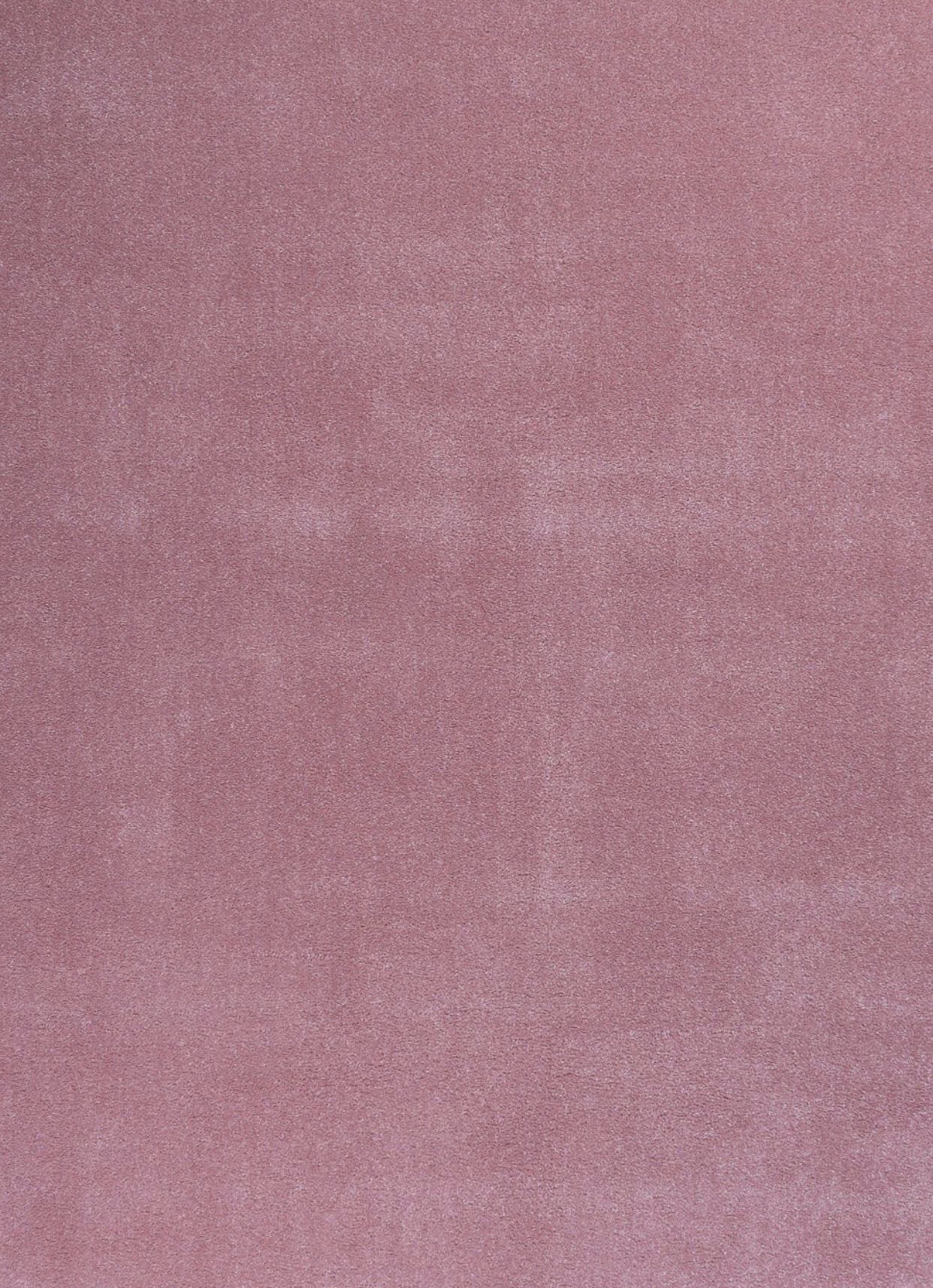 vaip rose vaip rose